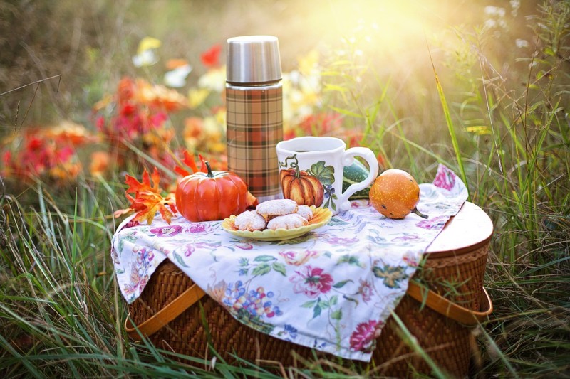 autumn-4579561-1280-61fc15606762b.jpg